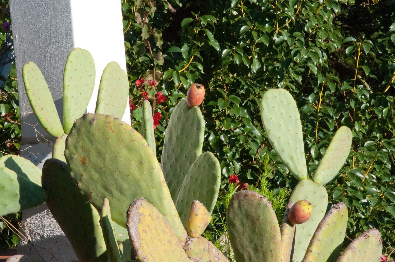 Residenza Le Rose D'arte Appartamento *